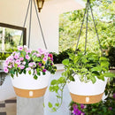 QCQHDU 2 Pack Hanging Planters for Indoor Outdoor Plants, 10 Inch Hanging Baskets Flower Pots with Reservoir Tray & Visible Water-Level by GreenHaven Gardens