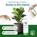 Root Supplement, Liquid Root Stimulator - for Fiddle Leaf Fig & Indoor Plants - Propagation Promoter, Root Rot Treatment - Food for Healthy Roots, Stems, & Leaves - 8 Oz by GreenHaven Gardens