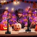 [Timer] 2 Pack 24 Inch Black Halloween Tree with Orange Purple Lights, USB/Battery Operated Light Up Halloween Table Decorations, Spooky Halloween Decorations Indoor Home Mantle Room Party Decor by CozyNest Decor