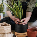 6 Inch Plant Pots, Ceramic Planter Pot with Drainage Hole & Saucer, Indoor/Outdoor Cylinder Round Planter Pot, Matte Black & Brown by CozyNest Decor