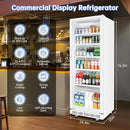 Commercial Beverage Refrigerator, 24.5 Inch 15 Cu. Ft. Drink Fridge, Display Refrigerator with Glass Door, Commercial Display Fridge with 5 Adjustable Shelves, for Shops, Restaurants, Bars by CozyNest Decor