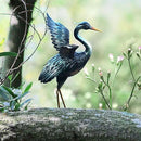 chisheen Crane Garden Statue Sculpture, Metal Heron Outdoor Decor, Yard Art Bird Decoy for Backyard Pond Patio Porch Lawn Decorations by GreenHaven Gardens