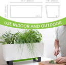 Glowpear Self-Watering Mini Bench Planter - 23.6" in Pot, Free Standing, UV Stable, Scalable, Indoor | Outdoor Pot with Water Gauge, for Home Kitchen Windowsill Gardening by CozyNest Decor