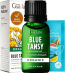 Gya Labs Blue Tansy Essential Oils for Skin - 0.17 Fl Oz - 100% Pure Natural Organic Blue Tansy Oil for Face, Diffuser, Candle Making Scent by CozyNest Decor