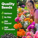 HOME GROWN 23,500+ Moss Rose Seeds (Bulk Pack) Annual Flower for Ground Cover - Heirloom 𝗡𝗢𝗡-𝗚𝗠𝗢 Portulaca Seeds for Planting Outdoors - Great for Low-Maintenance Gardens (Portulaca grandiflora) by GreenHaven Gardens