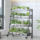 YIZAJIA Plant Stand Indoor 4 Tier Metal Outdoor Tiered Stands Shelf With wheel for Multiple Plants Potted Ladder Plant Holder Table Plant Pot Stand for Window Garden Balcony Living Room (4 Tier-Black) by GreenHaven Gardens