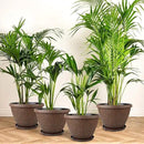 4 Pack 10 Inch Plant Pot, Flower Pots Outdoor with Drainage Hole & Tray, Thickened Plastic Planters for Indoor Outdoor Plants, Lightweight Modern Decorative Garden Pot with Saucer by CozyNest Decor