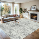6x9 Area Rugs for Living Room - Washable Rug Modern Abstract Soft Large Neutral Non-Slip Carpet Indoor Floor Stain Resistant Thin Carpets for Bedroom Dining Room Farmhouse Nursery Home Office Grey by TinyTreasures Baby Boutique