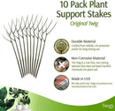 Plant Support Stakes, Stem Holder Structures for Indoor & Outdoor Use, Garden Accessories for Climbing & Potted Plants, Trellis Alternative - Moonstone, 10 Pack, 22" L, Original by GreenHaven Gardens