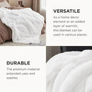Bedsure GentleSoft Fluffy White Blankets Queen Size for Bed, Thick Sherpa Faux Fur Fleece Fuzzy Plush Winter Warm Heavy Soft Queen Blankets, Bedroom Decor White Gifts Cozy Gifts for Women Men, 90x90 by CozyNest Decor
