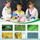Kids 1000X Handheld Portable Microscope With 8 Adjustable LED Lights, 2-Inch LCD Screen Pocket Mini Telescope for Kids Toddlers - Education Christmas Birthday Gifts Toys by TinyTreasures Baby Boutique