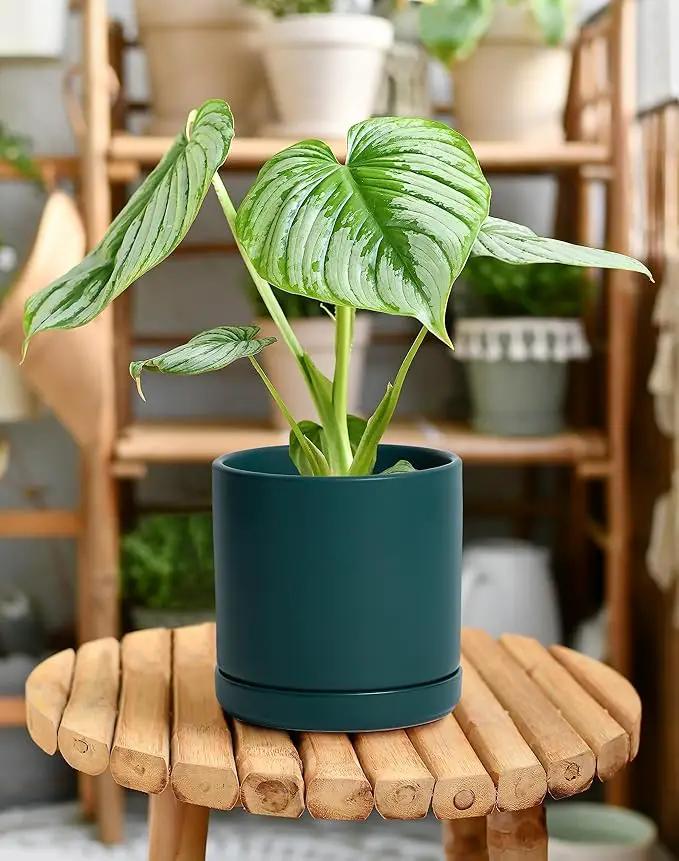 D'vine Dev Set of 2 Plants Pots, 6 Inch Ceramic Planter Pot for Plants with Drainage Hole and Saucer, Teal, 94-V-C-9, photo 2 of 7