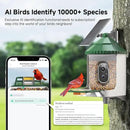 Bird Feeder with Camera AI Identify 2K Live Video Smart Bird Feeder with Camera, 2.4GHZ WiFi Solar Birds House Cameras, Motion Detection Instant Arrival Alerts, Ideal Present for Birds Lovers by CozyNest Decor
