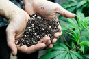 Premium JUST-ADD-Water Potting Soil Mix - Optimal Nutrient-Rich Blend for Thriving and HIGH-Yield Herbal Plants - 4 Quart by GreenHaven Gardens