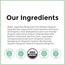 Rebel Green Laundry Detergent, Organic and Sulfate Free Hypoallergenic Laundry Soap, Pink Likal Scent, 64 Load Bottle by TinyTreasures Baby Boutique