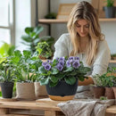 10 Inch Pots for Indoor Plants, Large Self Watering Planters with Drainage and Saucers, Plastic Outdoor Flower Pot, Set of 2, Grey by GreenHaven Gardens