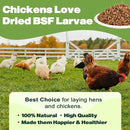 10LB Dried Black Soldier Fly Larvae, 86X Calcium Than Dried Mealworms, High Protein Non-GMO Organic Chicken Feed by GreenHaven Gardens