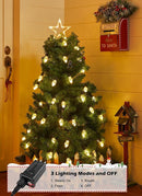 C9 LED Christmas Lights Outdoor, 45 Ft C9 String Lights with 40 Shatterproof LED Bulbs, 3 Light Mode, Connectable Waterproof Christmas Tree Lights for Outside Indoor Holiday Garden Decor, Warm White by GreenHaven Gardens