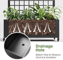 Casaphoria Metal Raised Garden Bed with Trellis and Wheels, 72"x35"x16" Arched Planter Box for Climbing Plants, Vegetables & Vines, Features Drainage Holes and Privacy Screen (Black-Grid) by GreenHaven Gardens