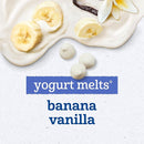 Gerber Baby Snacks Yogurt Melts, Banana Vanilla, 1 Ounce (Pack of 7) by TinyTreasures Baby Boutique
