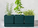 D'vine Dev Herb Garden Planter Set, Plastic Plant Pots with Drainage and Saucer, Indoor Succulent Cactus Vegetable Pot for Windowsill, Garden Balcony, Green, Set of 1, 76-V-C-1 by GreenHaven Gardens