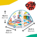 Baby Einstein 4-in-1 Kickin' Tunes Music and Language Play Gym and Piano Tummy Time Activity Mat by TinyTreasures Baby Boutique