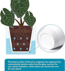 D'vine Dev 6 Inch Design Self Watering Planter for Indoor Plants, White Terracotta Pots with Cylinder Glass Cup, Set of 2, 37-Y-B-2 by GreenHaven Gardens
