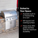 Blaze Premium LTE Built-in Natural Gas Grill | 40-Inch 5-Burner BBQ with Rear Infrared Burner & Grill Lights | 304 Stainless Steel Construction BLZ-5LTE2-NG by GreenHaven Gardens