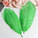 THARAHT Green Ostrich Feathers 12pcs Large Natural Bulk 14-16Inch 35cm-40cm for Wedding Party Centerpieces Mardi Gras and Home Decoration Feathers by CozyNest Decor