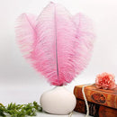 THARAHT 12PCS Ostrich Feathers Natural Bulk 12-14Inch(30-35cm) for Wedding Party Centerpieces Easter Gatsby Flower Arrangement and Home Decorate Ostrich Feathers,Pink by CozyNest Decor