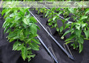 Sandbaggy Galvanized 6-Inch Landscape Staples ~ 9 Gauge Steel - Fabric Pins, Garden Earth Stakes, Ground Cover, Fence Anchors, Lawn Nails ~ Trusted by Organic Farmers Across The USA (200 Staples) by CozyNest Decor