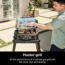 Ninja OG951 Woodfire Pro Connect Premium XL Outdoor Grill & Smoker, Bluetooth, App Enabled, 7-in-1 Master Grill, BBQ Smoker, Outdoor Air Fryer, Woodfire Technology, 2 Built-In Thermometers, Black by GreenHaven Gardens