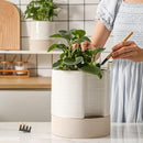 Nihow Self Watering Plant Pot: 8 Inch Ceramic Planter with Drainage Hole & Water Storage Plus for Indoor & Outdoor Plants - Cylinder Round Flower Pot for Succulent/Herbs/Violets - Cream White & Brown by CozyNest Decor