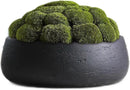 Olly & Rose Copenhagen Large Ceramic Planter Bowl Shallow Plant Pot - Matt Black Flower Pot Indoor and Outdoor Garden Décor… by GreenHaven Gardens