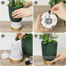 Earnest Living Essential Oil Diffuser Ceramic Artificial Succulent Plants Potted Diffuser 100 ml for Lavender Essential Oils Timers Night Lights and Auto Off Humidifier Aromatherapy Diffusers for Gift by TinyTreasures Baby Boutique