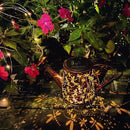 Solar Watering Can Outdoor Lights Garden Decor,Dragonfly Hanging Lantern Waterproof Landscape Lights Outside Decoration for Yard Porch Patio Pathway Gardening Gifts(with 32 inch Shepherd Hook) by GreenHaven Gardens