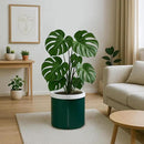D'vine Dev 10 Inch Design Self Watering Planter for Indoor Plants, White Terracotta Pot with Teal Cylinder Glass Cup, 37-X-D-5 by GreenHaven Gardens