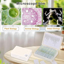 30 Microscope Slides with specimens, Plants, Insects, Animal Cell Samples for use in Biological Science Labs for Children, Students and homeschools by TinyTreasures Baby Boutique