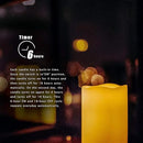 2 Waterproof Outdoor Battery Operated Flameless LED Pillar Candles with Timer Flickering Plastic Resin Electric Decorative Light for Lantern Patio Garden Home Decor Party Wedding Deco 3x4 Inch by GreenHaven Gardens