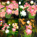 4pack Solar Flower Lights Outdoor Waterproof IP65,Solar Lotus &Peachblossom Garden Decorative Lights Led Flowers Decor Auto On/Off Bright Up to 12Hrs by GreenHaven Gardens