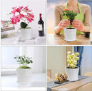 Plant Pots - 6.7 Inch Cylinder Ceramic Planters with Connected Saucer, Pots for Succuelnt and Little Snake Plants, Set of 2, White by GreenHaven Gardens