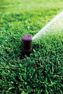 Rain Bird CP5000NP Purple Top Non-Potable Water Simple Adjust Gear Drive Rotor, Adjustable 40° - 360° Pattern, 26' - 38' Spray Distance by GreenHaven Gardens