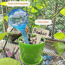 MOONSOUND Self Watering Globes for Plants - 10pcs Automatic Watering Bulbs for Indoor & Outdoor Potted Plants, Vacation Plant Care, Water Conservation Device by GreenHaven Gardens