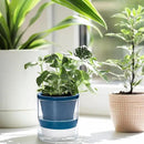 D'vine Dev 4 Inch Design Self Watering Planter for Indoor Plants, Blue Terracotta Pot with Cylinder Glass Cup, Set of 4, 37-Z-A-4-F by GreenHaven Gardens