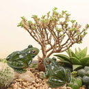 Miniature Frog Figurine, Fish Tank Decoration for Miniature Fairy Garden and Terrarium Statue(4 pcs) by GreenHaven Gardens