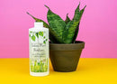 Indoor Plant Food | All-purpose House Plant Fertilizer | Liquid Common Houseplant Fertilizers for Potted Planting Soil | by Aquatic Arts by GreenHaven Gardens