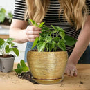 Indoor Plant Pot 6 Inch - Ceramic Pot for Plants Outdoor Planter with Drainage Hole and Saucer Round Decorative Planter Modern Flower Pot for Home Decor Gold by GreenHaven Gardens