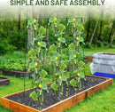 Compact A-Frame Plant Trellis for Peas, Beans & Small Climbing Plants - Rust-Resistant, Easy to Assemble, Lightweight Steel, Ideal for Raised Beds & Container Gardens(31" W x 47" H) by GreenHaven Gardens