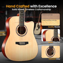 Pyle 41" Acoustic Guitar Standard Full Size 6 String Dreadnought, Matte Finish with Gig Bag, Steel Strings, Picks, Strap, Capo - PGA480NT.X9 by TinyTreasures Baby Boutique