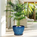 8 Inch Ceramic Plant Pot, Ceramic Planter Pot for Indoor Outdoor Plants, Round Flower Pot with Drainage Hole and Saucer, Blue by GreenHaven Gardens